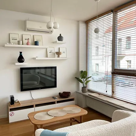 Apartamento Cozy Vilnius