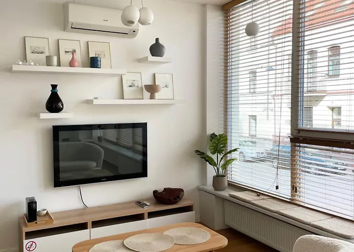 Apartmán Cozy Vilnius